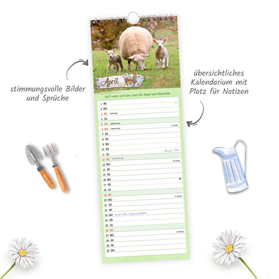 Seite, Text, Säugetier, Schaf, Blume, Seite, Text, Säugetier, Schaf, Blume