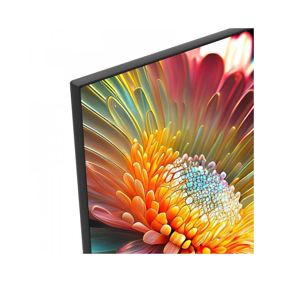 Computerausrüstung, Überwachen, Bildschirm, FERNSEHER