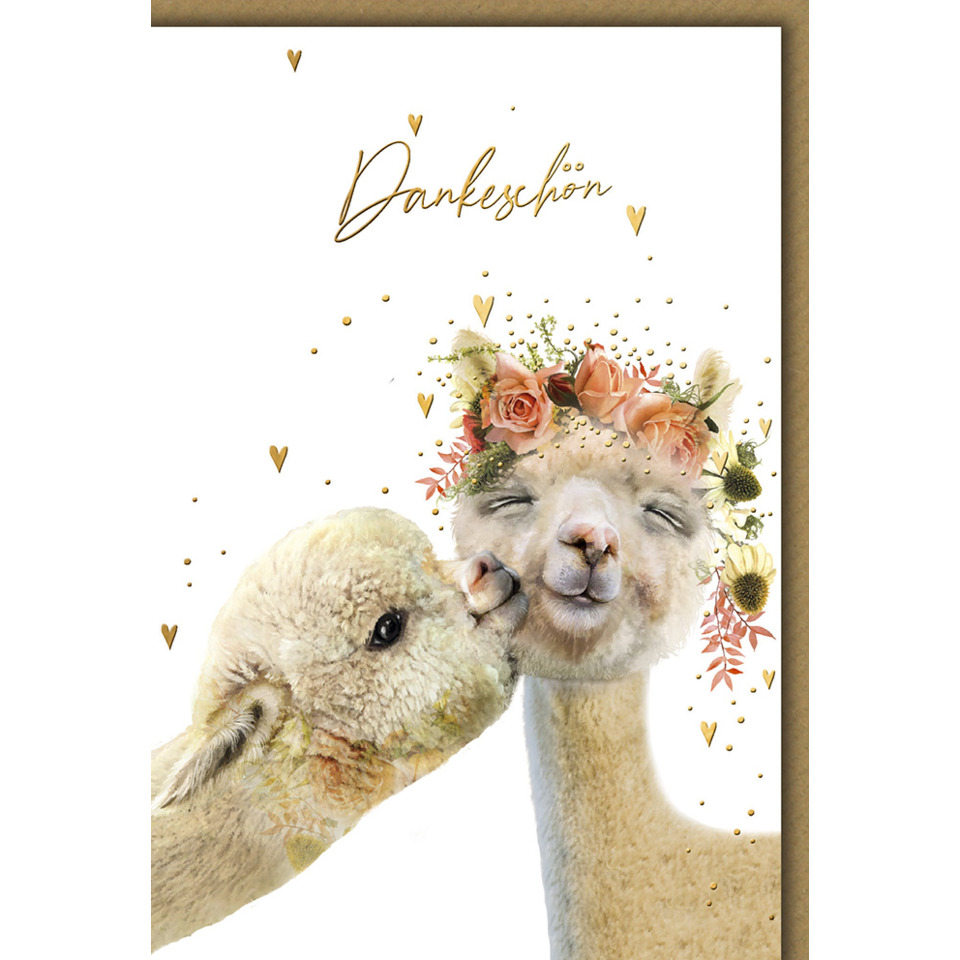 Tier, Vieh, Säugetier, Schaf