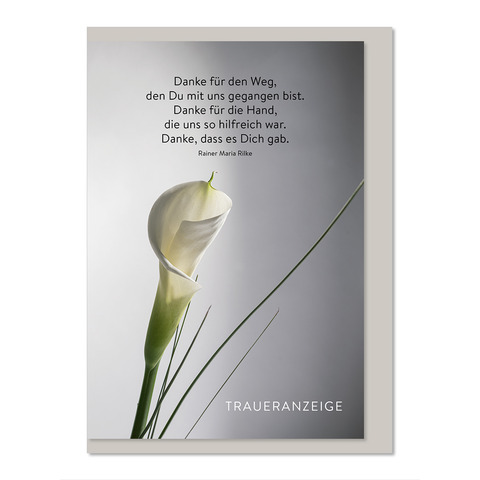 Blume, Pflanze