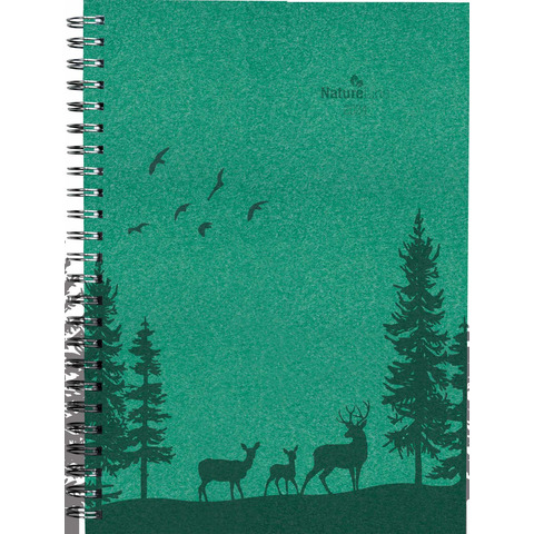 Tier, Hirsch, Wildtiere, Antilope, Vogel