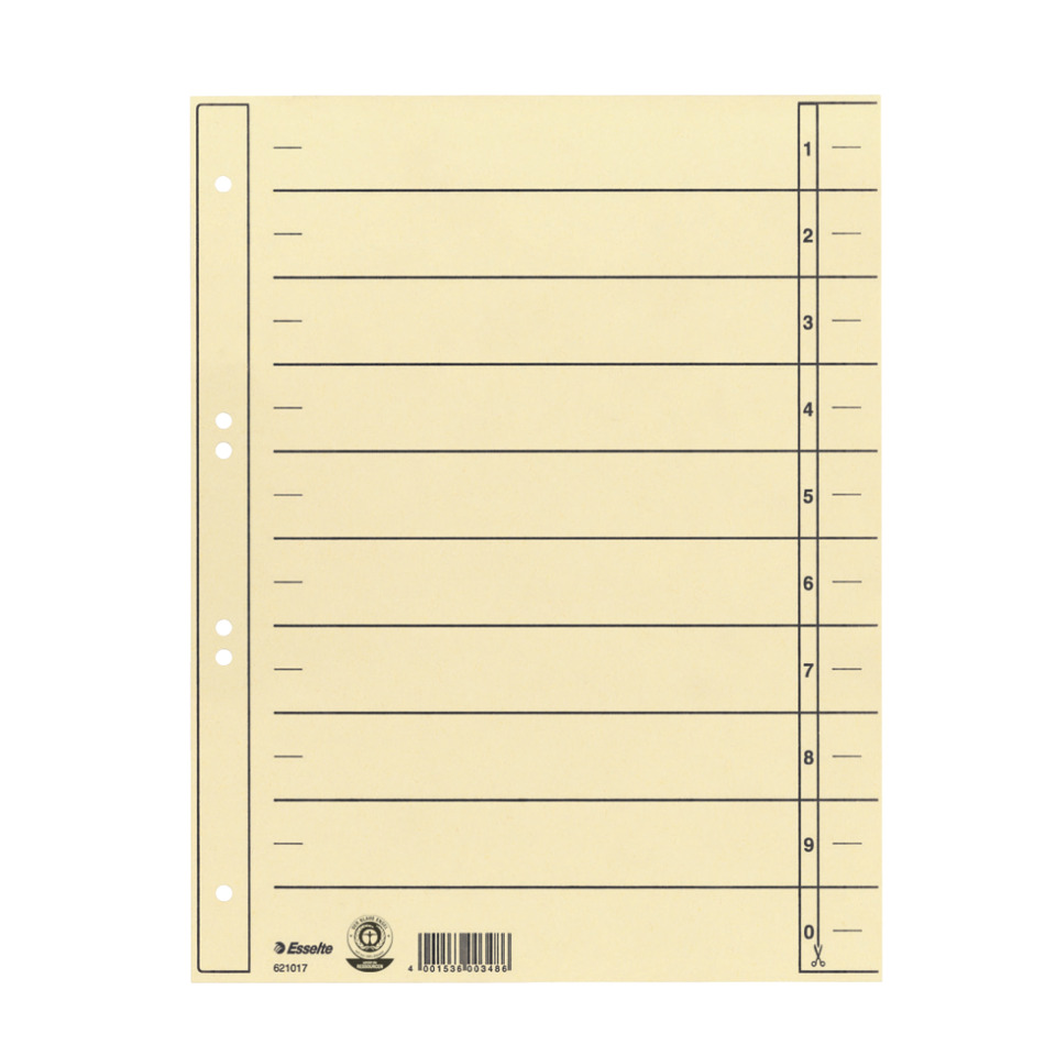 spiral notebook, geplante seiten, lineare papier, Lochungen, Ordnerblatt