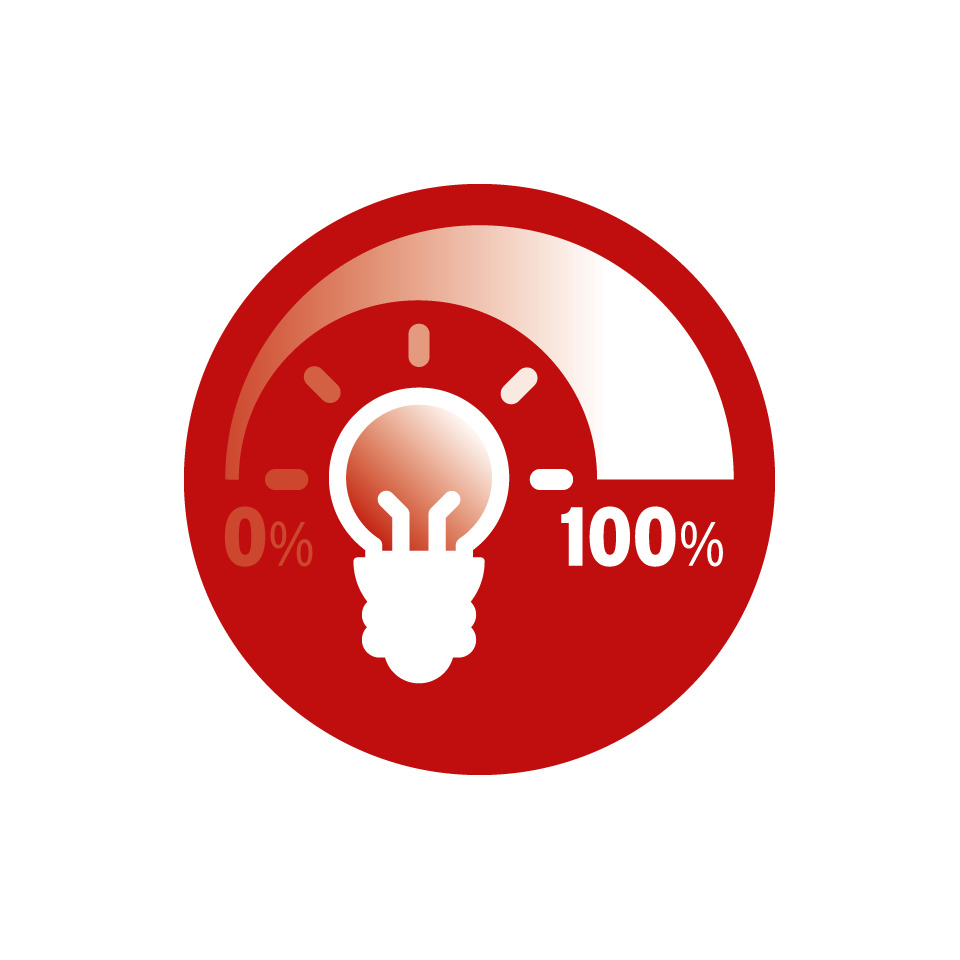 energie, 100 Prozent, Glühbirne, roter Kreis, Symbol
