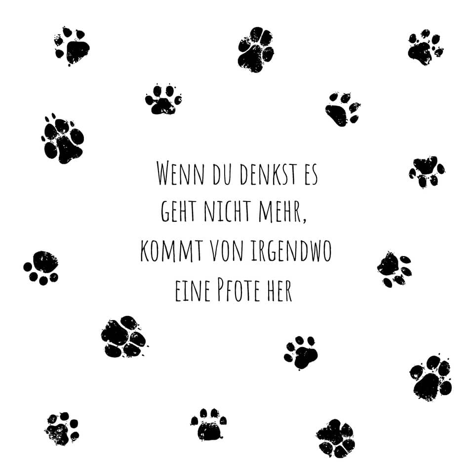  Pfotentatzen, Textzitat, Schwarz-weiß, weißer Hintergrund, Grafikdesign
