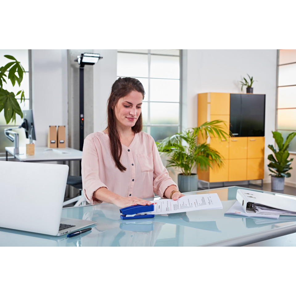 office, desk, documents, papierkram, frau