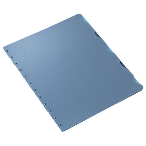 Register, A4, blanko, transparent/blau OXFORD 100420935 Register, A4, blanko, transparent/blau OXFORD 100420935
