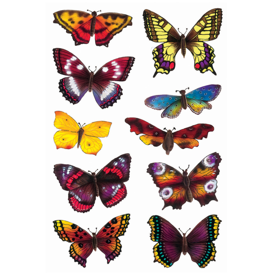 Schmetterlinge, Bunte Schmetterlinge, Tiere, Flügelmuster, Motiv