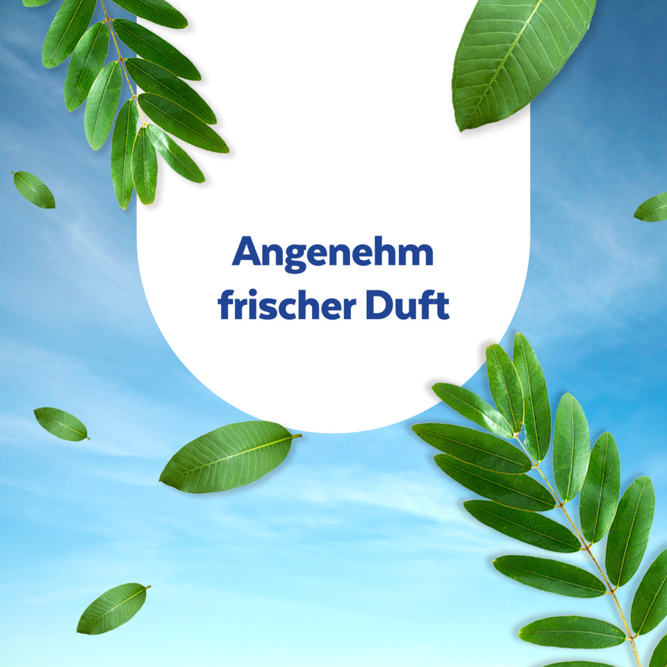 duft, frischer Duft, blätter, natur, design