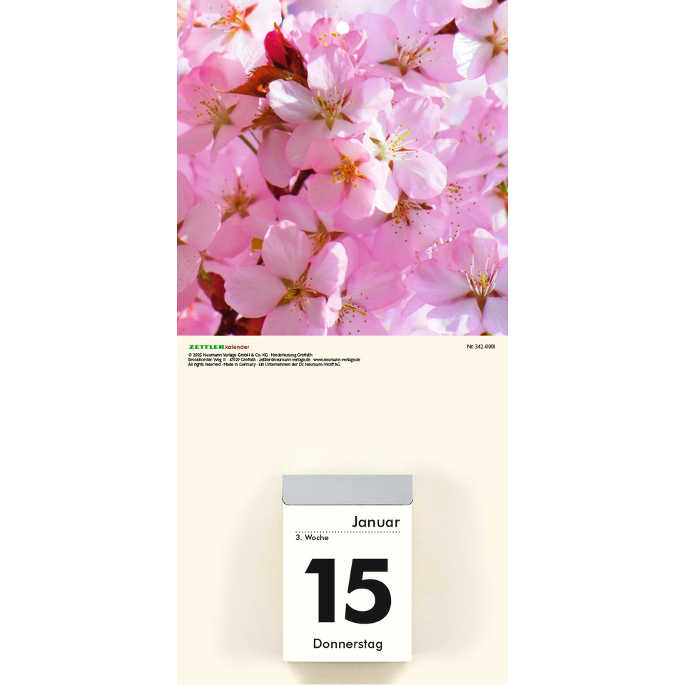 Blume, Pflanze, Blütenblatt