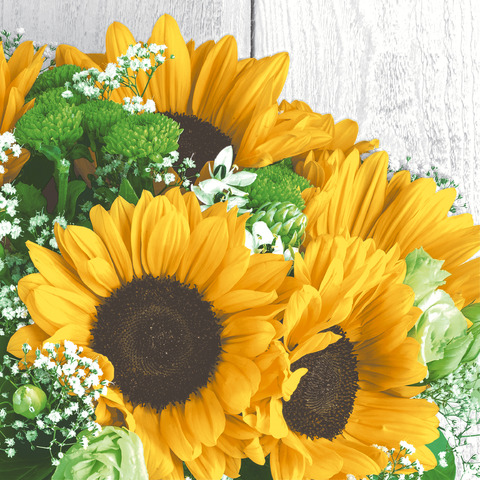 Blume, Sonnenblume, Blumen-Arrangement, Blumenstrauß, Gänseblümchen, Blume, Pflanze, Sonnenblume, Blumen-Arrangement, Blumenstrauß