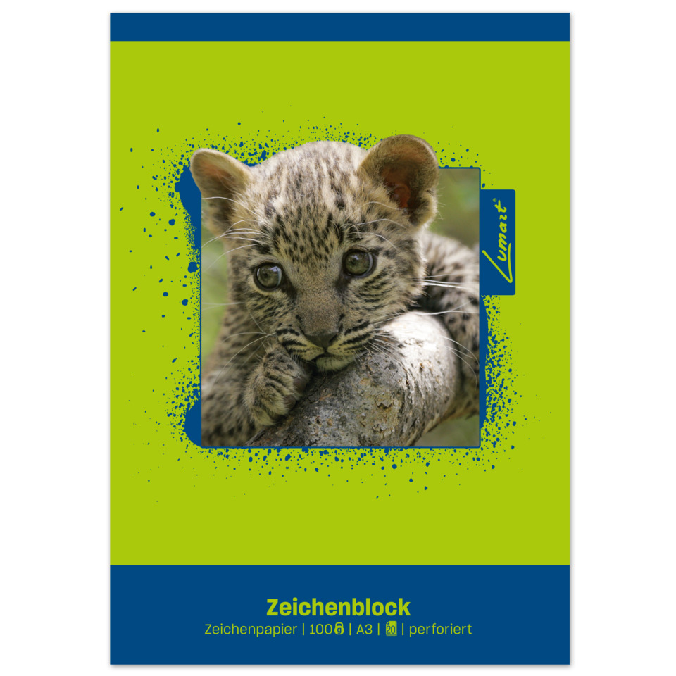 Kätzchen, Kleines Kätzchen, Katze, Tier, Zeichenblock