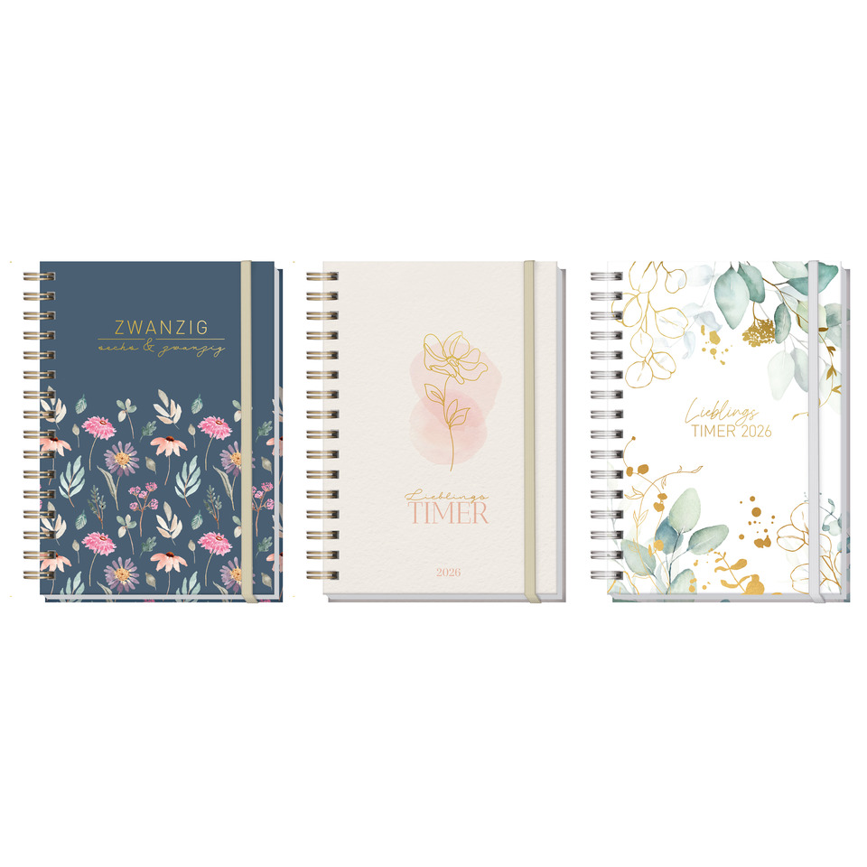 Tagebuch, Seite, Text, Seite, Text, Tagebuch