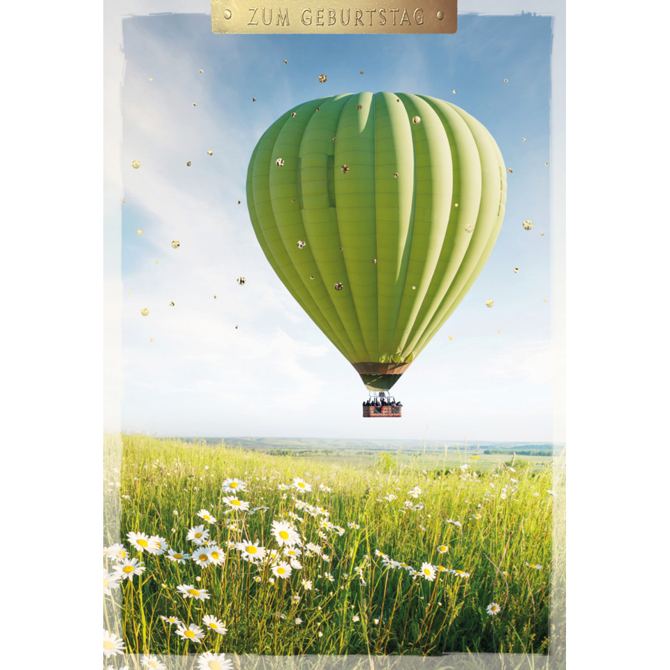 Heißluftballon, grüner Ballon, Ballonkorb, Gänseblümchenfeld, weite Wiese