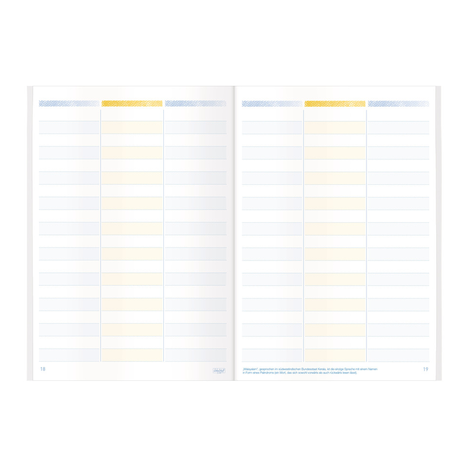 notebook, Planer, Gitter, Linien, Doppelseiten