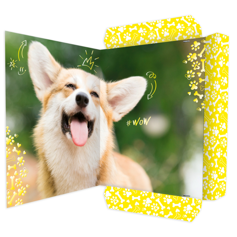 Grusskarte, Post, Hund, Haustier, Husky, Hund, Haustier, Grusskarte, Post, Husky