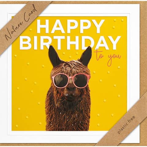 Geburtstagskarte Nature Card BSB 69-2038-2