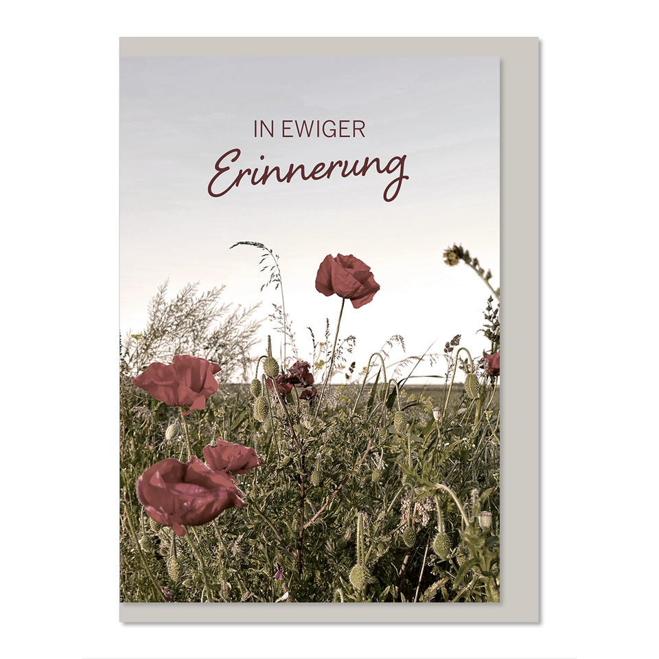 Mohnfeld, Pflanzenbild, Blumen, Wiesenflora, Erinnerungskarte