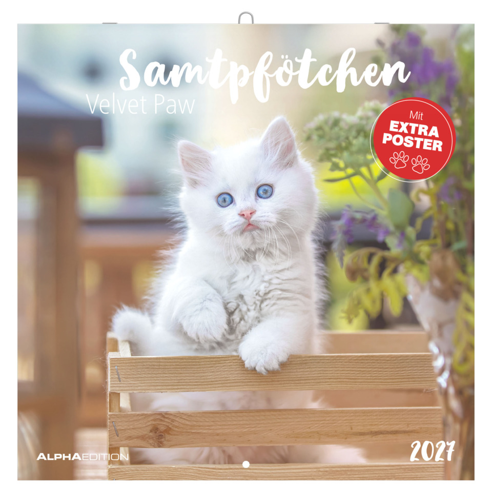 Katze, Kätzchen, Porträt, Korb, Poster-Design