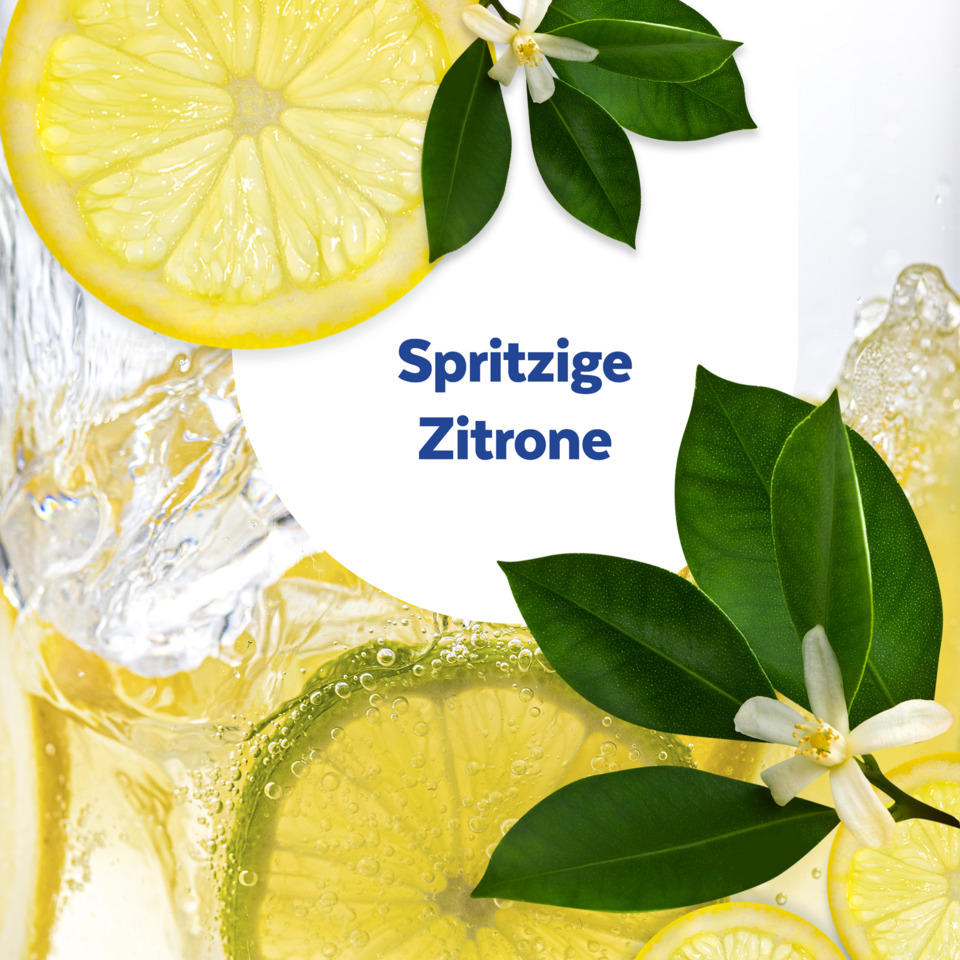 Zitrone, Zitronenlimonade, Spritze, Glas, Blätter