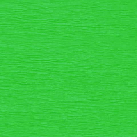 Krepppapier Aquarola, 50x250cm, hellgrün WEROLA 82061-4655