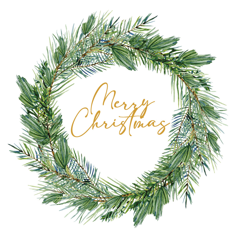 Pflanze, Baum, Pflanze, Baum, Kranz, Pflanze, Baum