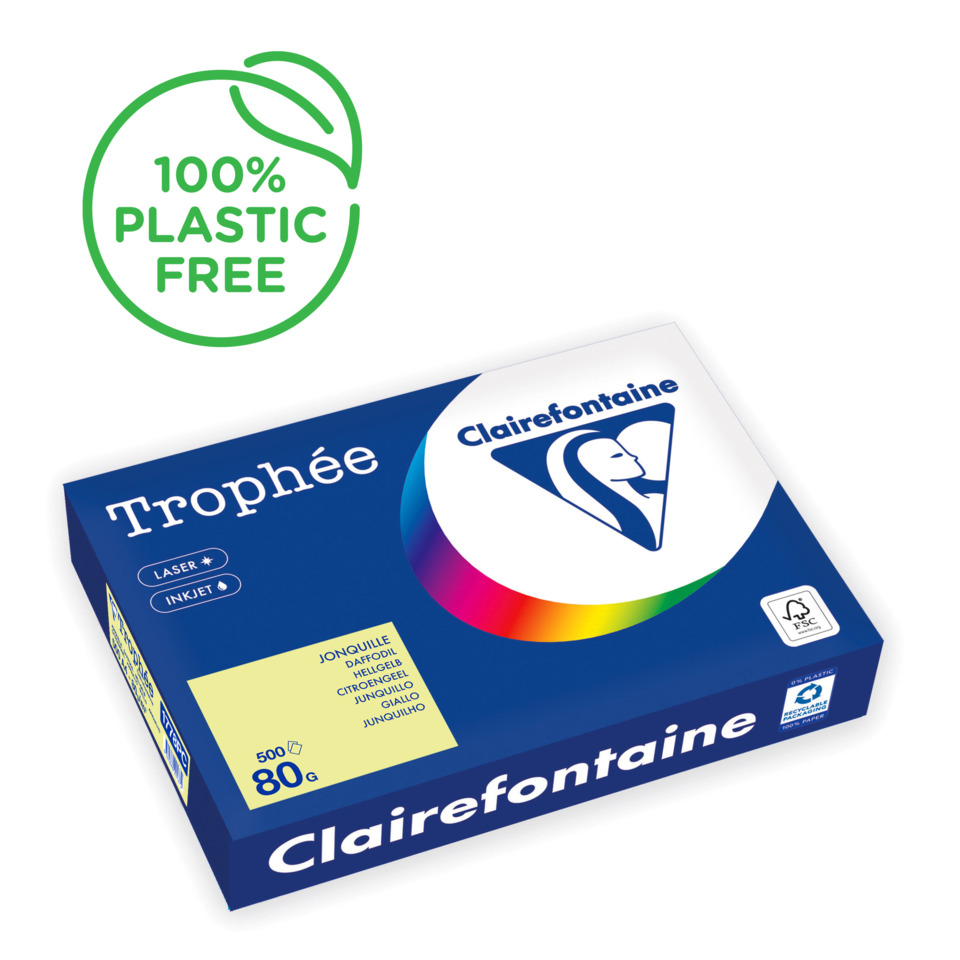 Kartonbox, Kopier-Softpapier, Druckerpapier, Coloured-Logo, Clairefontaine