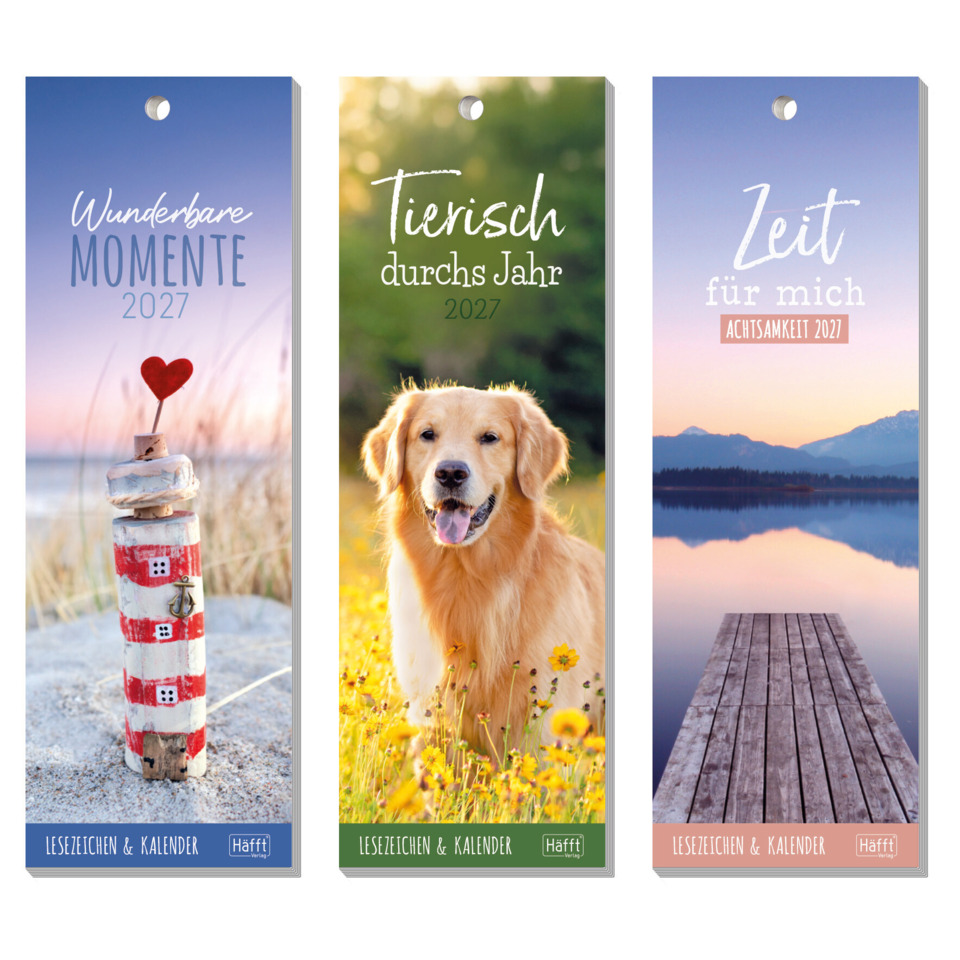 hund, golden retriever, natur, blumenfeld, kalender