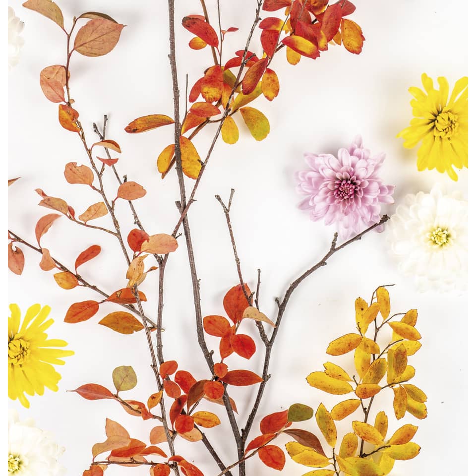 Zweig mit Blättern, Herbstfarben, Blumenstängel, Trockenblumen, Kunstpflanzen