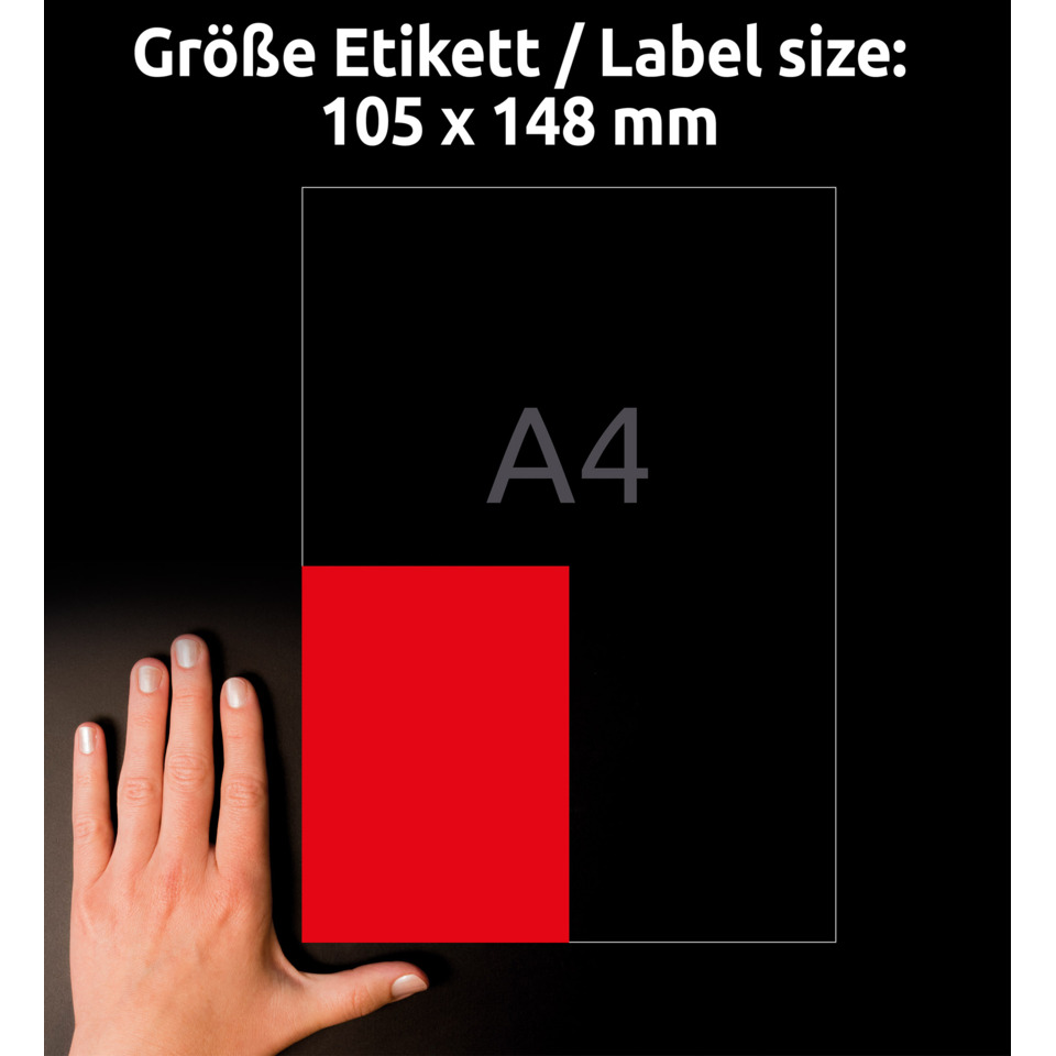 hand, roter rechteck, A4 platzhalter, Etikettenbeschriftung, Größenangabe