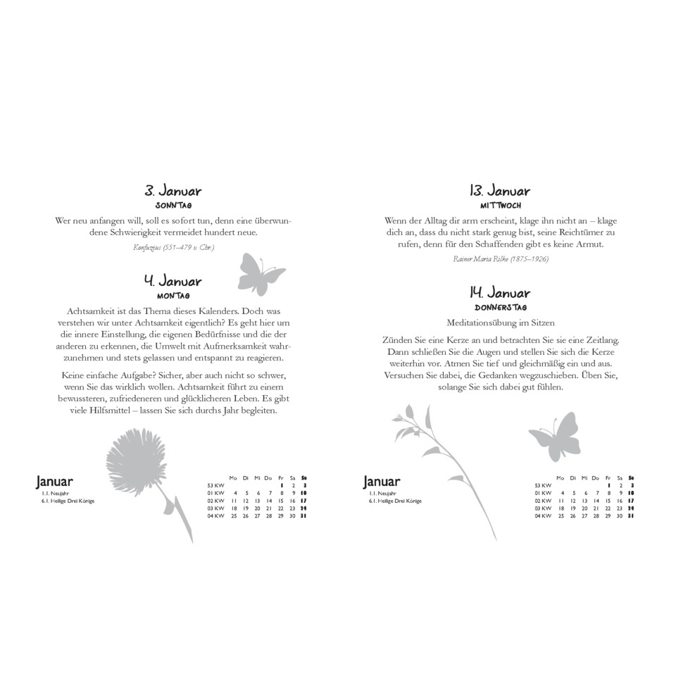 Kalender, Monat, Januar, Blume, Schmetterling