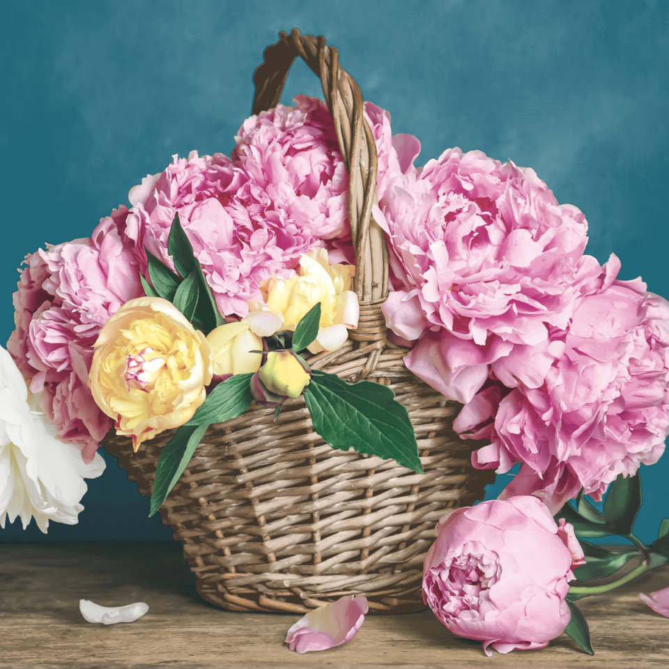 korb, Blumenstrauß, Pfingstrosen, Blumen, Pink