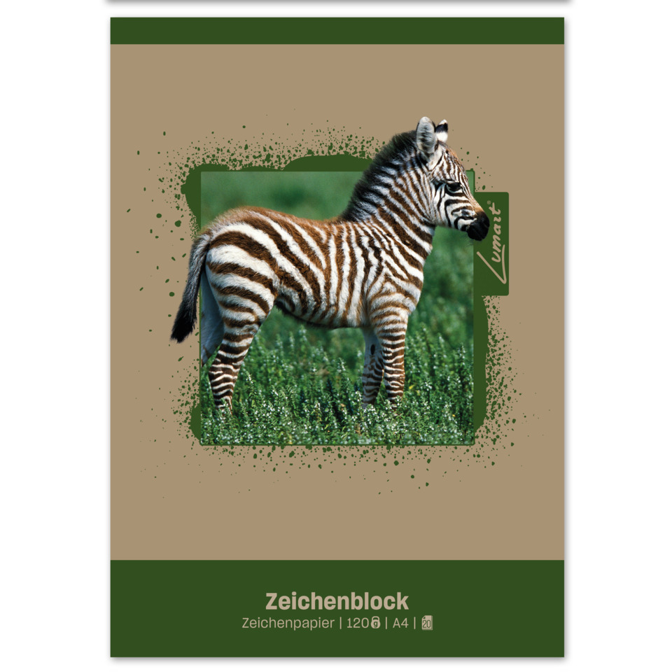 Zebra, Tierbild, Tier, Pferdchen, Haarstreifen