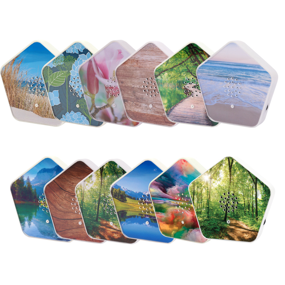 Pflanzenmuster, Holzoptik, Sandstrand, Landschaft, Wandbild