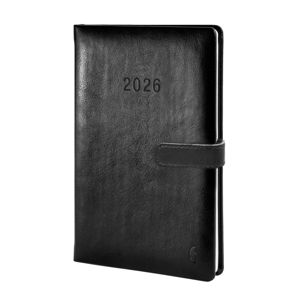 Tagebuch, Tagebuch