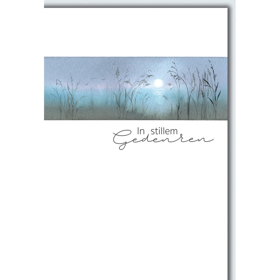 Draußen, Natur, Pflanze