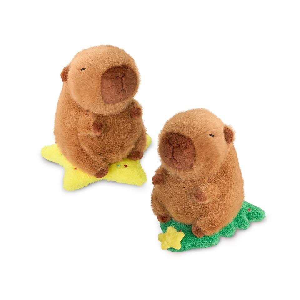 Plüsch, Spielzeug, Teddybär