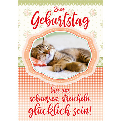 Grusskarte, Post, Katze, Haustier, Plakat