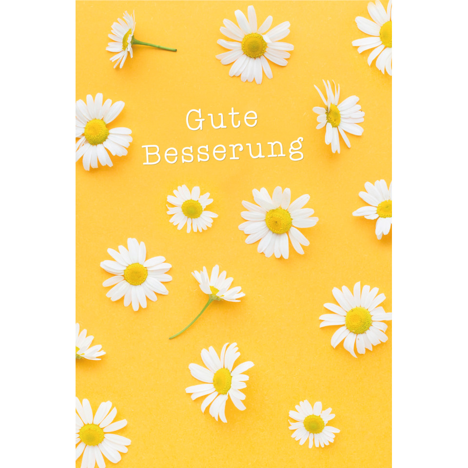 Daisy, Kamille, Blumen, Gelb, Genesungskarte