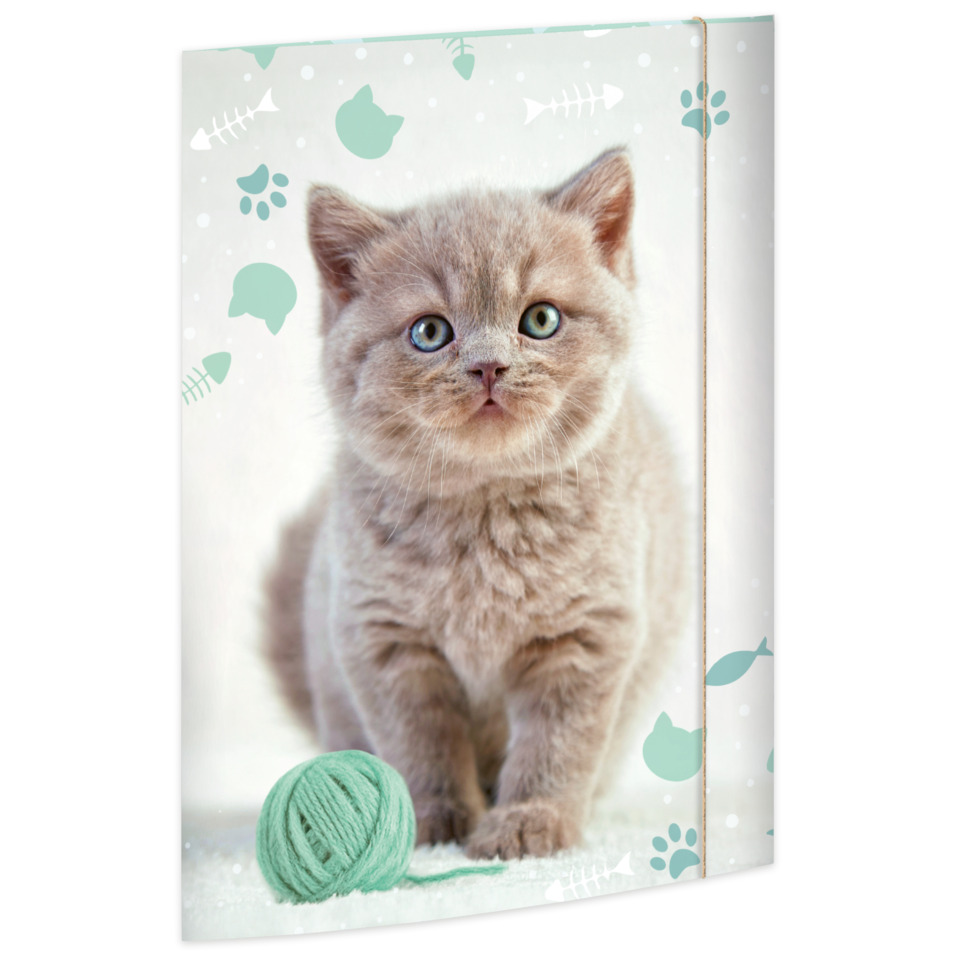 Katzenkissen, Katze, Spielzeugball, Strickgarn, Jungtier/Kitten