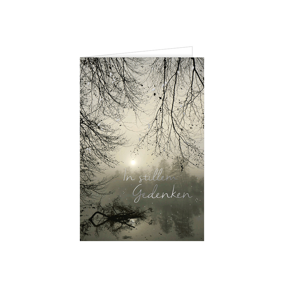 Draußen, Natur, Baum, Vegetation, Teich, Natur, Im Freien, Wetter, Baum, Bewuchs