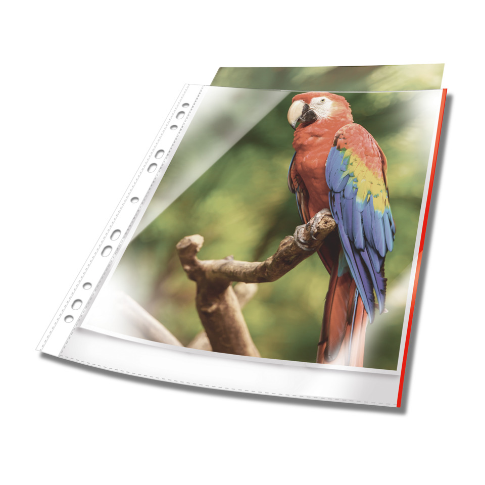 Papagei, Roter Papagei, Sonnenparrot, Vogel, Seil?