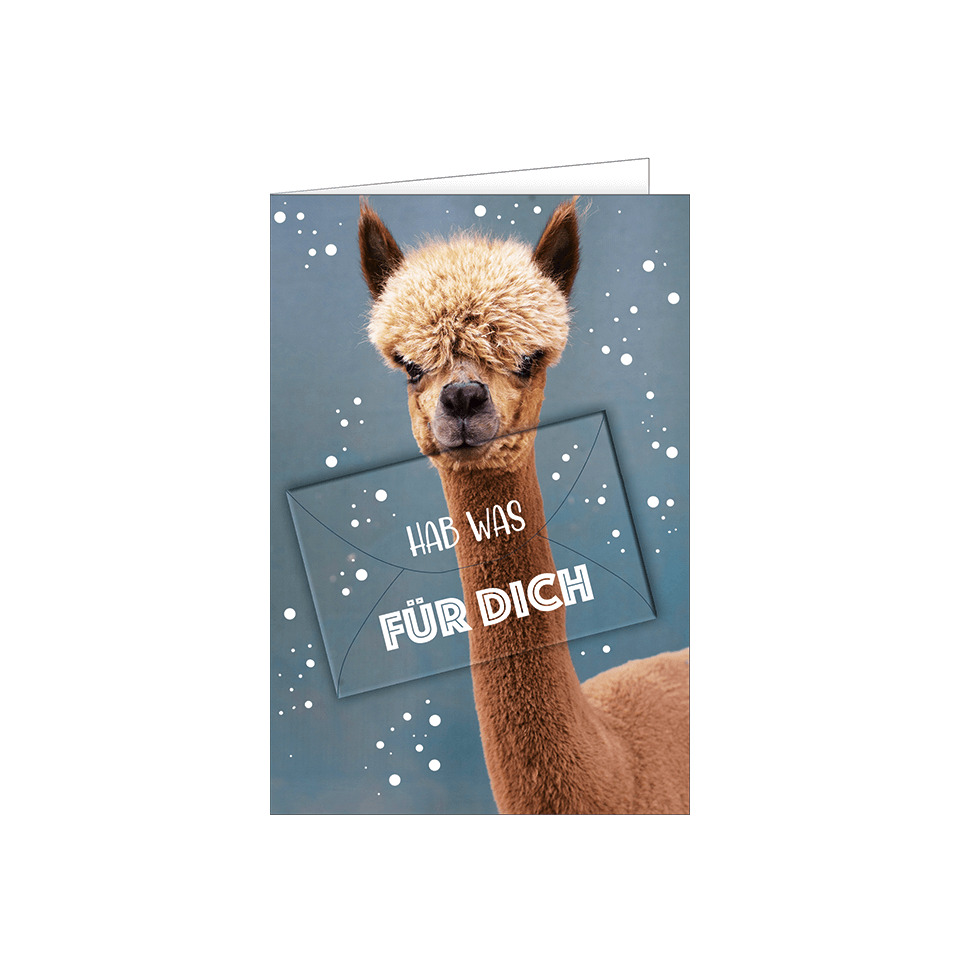 Alpaca, Tier, Fell, Flausch, Karte mit Spruch