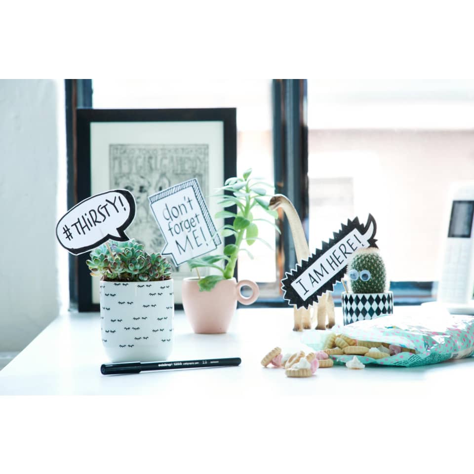 desk setup, succulent, potted plant, cactus, signage
