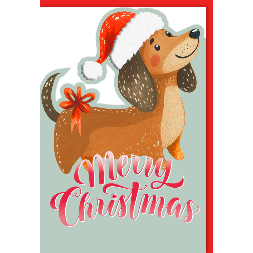 Hund, Weihnachten, Santa-Hut, Roter Schwanz, Merry Christmas
