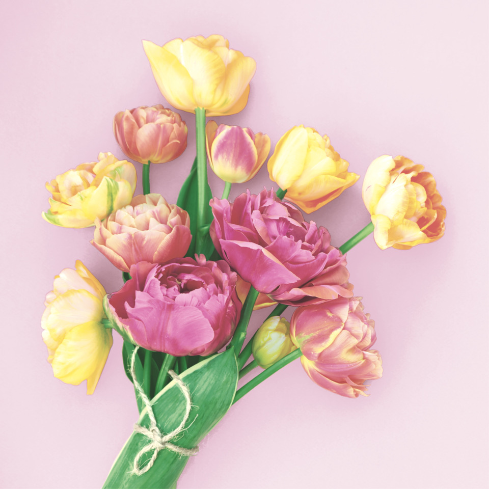 Tulpen, Blumenstrauß, Bouquet, Pastell, Stielbündel