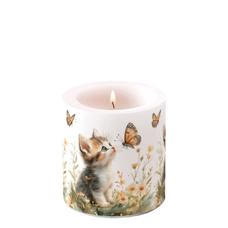 Katzenkerzen, Schmetterlinge, Kerzenbecher, Blumenmuster, Katzendruck