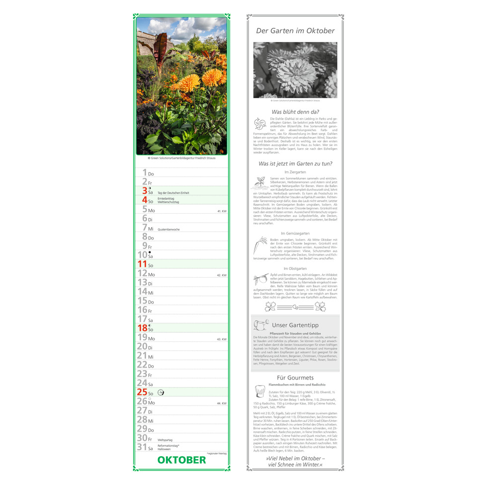 pflanzen, garten, blumen, herbst, kalender