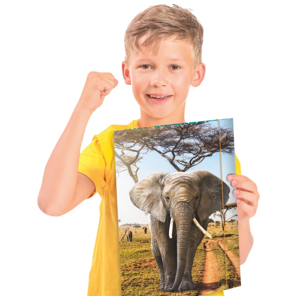Kind, Elefant, Poster, Afrika, Tierbild