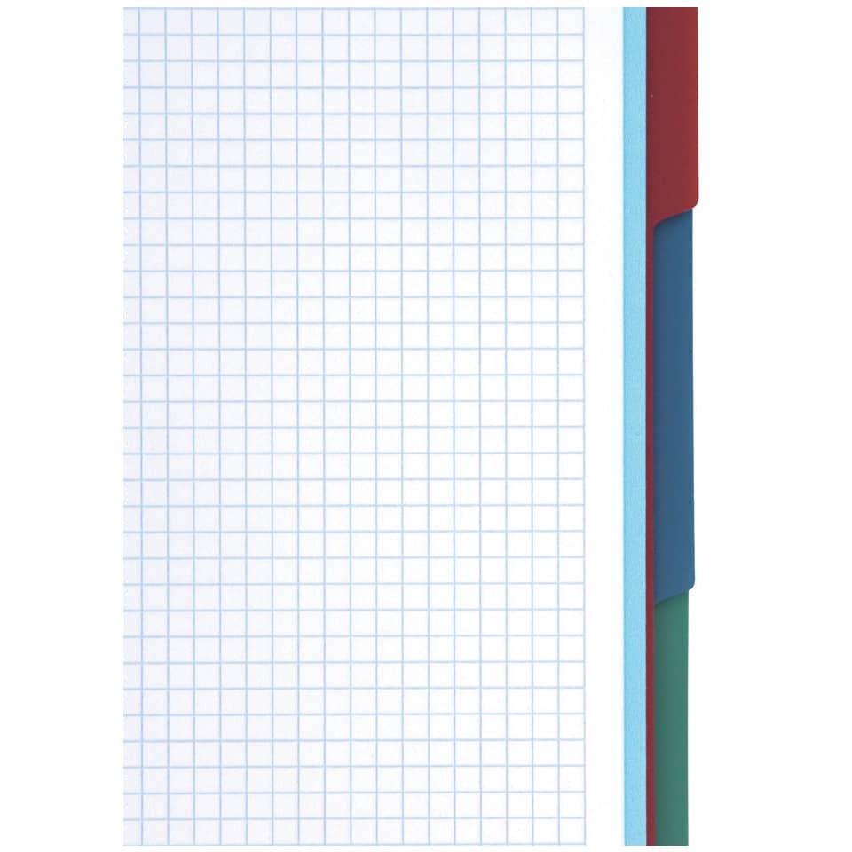 Notizbuch, Gitterpapier, kariert, mehrfachfarbiger Trennrand, Ordner