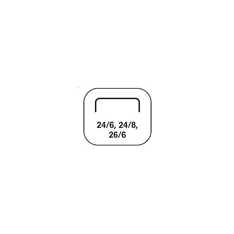 Seite, Text